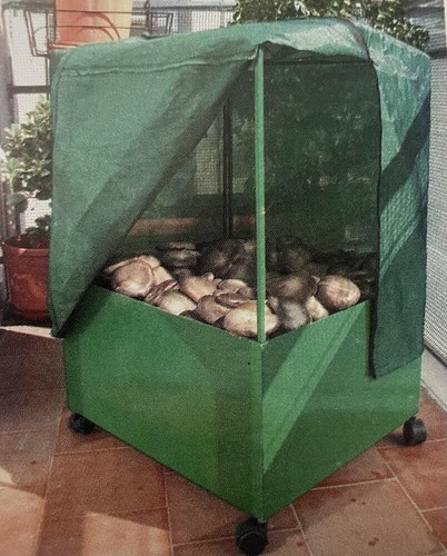 Miniserra coltivazione funghi - coltivazione,