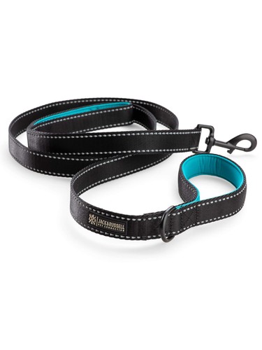 Jack russell guinzaglio - ,