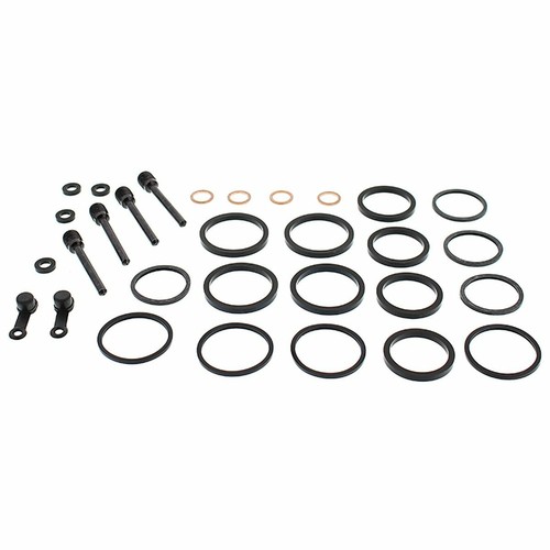 Kit revisione pinza freno - pinza,