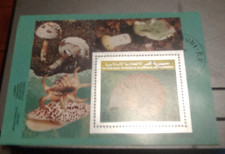 Isole Comore 1992 Posta Aerea - Minifoglio Funghi e Conchiglie Traforato Usato