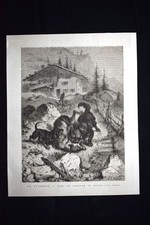 La Svizzera - Cani da pastore