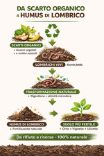 Camminando Farm Lombrichi