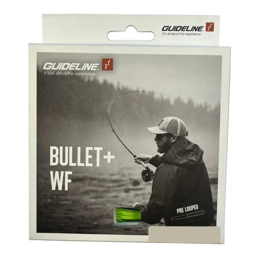 Guideline bullet wf - guideline, +