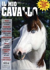 Il Mio Cavallo 2015 11