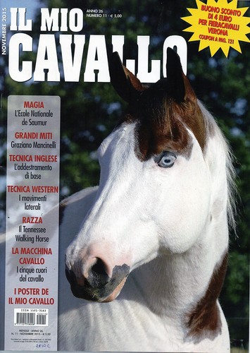 Mio cavallo 2015 - il,