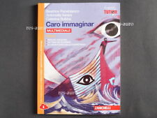 Caro immaginar Epica. Zanichelli Multimedia. Panebianco, Varani, Bubba - Leggere