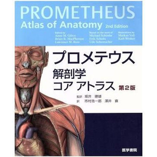 Prometheus anatomy core - anatomy,