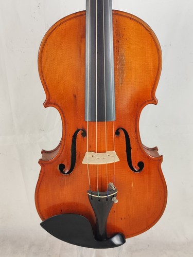 Violino giustino dal canto - violino,