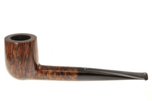 Pipa sasieni dot root - dot,