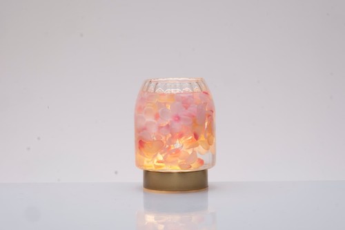 Vaso fiori lampada led - fiori,