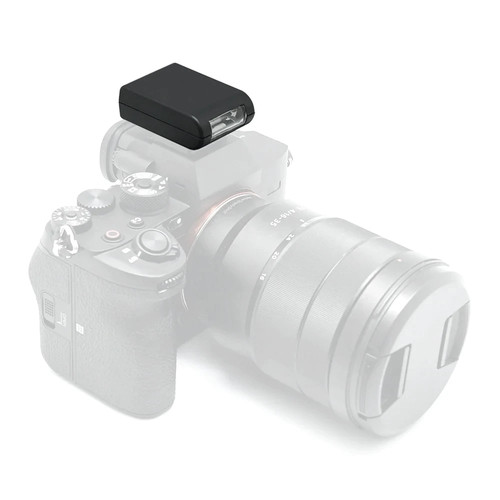 Fotografia subacquea seafrogs - fotografia,