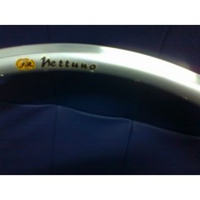 Cerchio NETTUNO  FIR