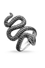 Anello a serpentina lineare