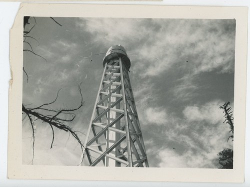 Foto vintage wilson - foto,