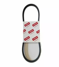 Cinghia alternatore Yanmar 1GM