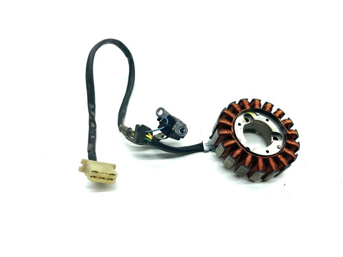 Statore alternatore magnete - statore,