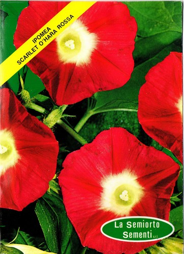 Semi seeds ipomea - semi/seeds,