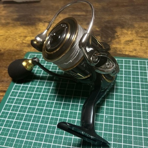 Daiwa theory 2508pe mulinello - theory,