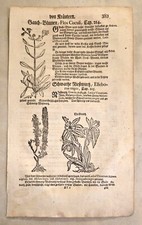 Xilografie di erbario su carta