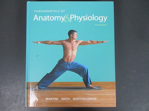 Fundamentals anatomy - of,