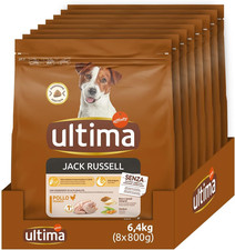 Taglia Piccola Jack Russell