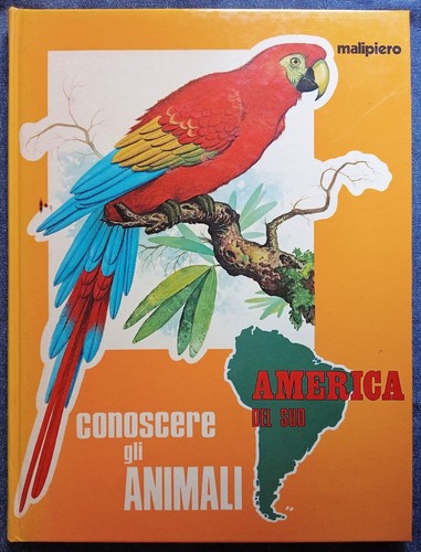 Conoscere gli animali - gli, animali.
