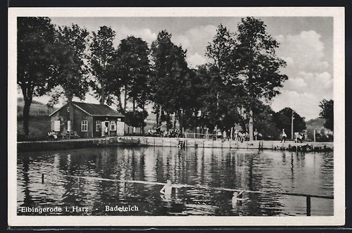 Elbingerode resina - i.,