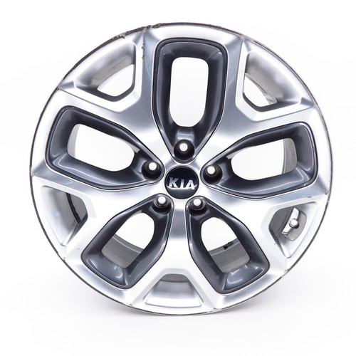 Cerchio lega kia sorento - cerchio,