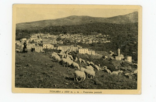 Cartolina tonara nuoro - tonara,