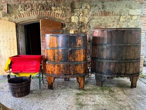 Attrezzatura cantina per - cantina,