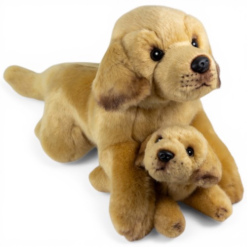 Carl dick labrador sdraiato - carl,