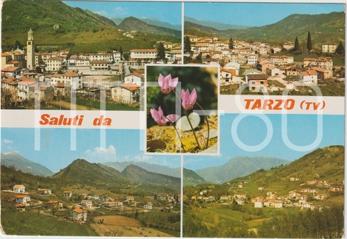 Saluti tarzo vedutine - saluti,