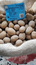 1 Sacco Di Patate Da Seme Da