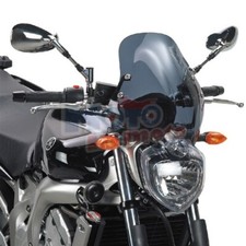 Cupolino Completo Fumè Givi