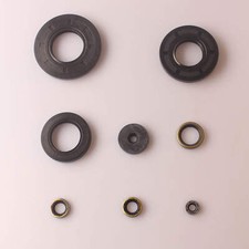 Set paraolio motore per