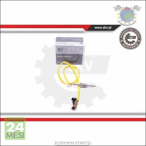 Sensore temperatura gas