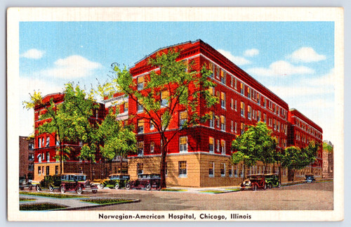 Chicago illinois norwegian - chicago, il
