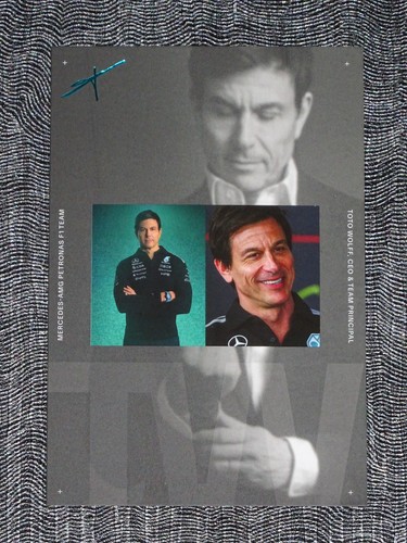 Scheda pilota toto wolff - pilota,