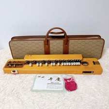 Suzuki Elettrico Taishogoto