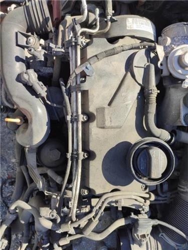 Motore volkswagen golf - motore, v