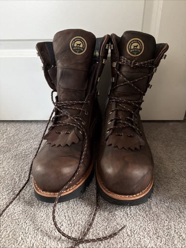 Setter irlandese red wing hunt - setter,