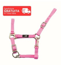 Cavezza puledro nylon - in,