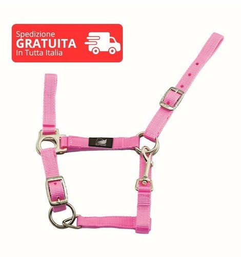 Cavezza puledro nylon - cavezza,