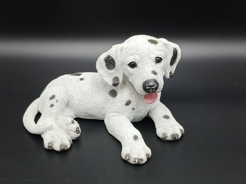 Cucciolo dalmata castagna - cucciolo,