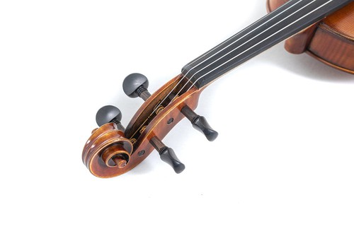 Violino maestro - maestro, 2