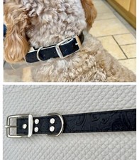 COLLARE PER CANI IN MORBIDA