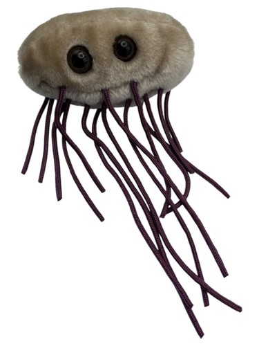 Microbi giganti peluche - microbi, e
