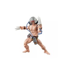 Hasbro Marvel Legends Series