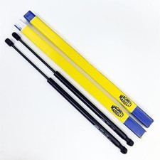 2x Magneti Marelli Molla a Gas