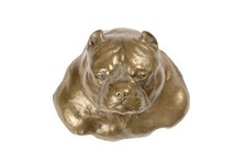 American Bully Testa Pendente